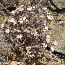 P1018184