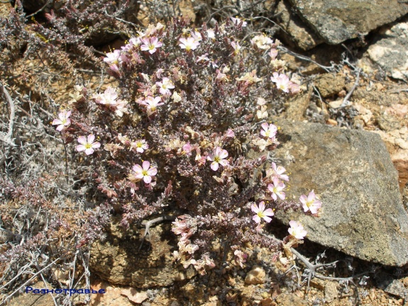 P1018184
