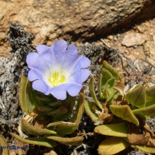 P1018185
