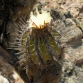 P1018190