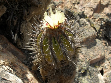 P1018190