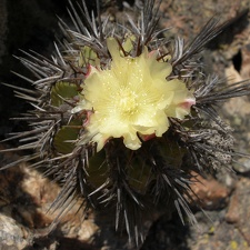 P1018191