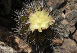 P1018191