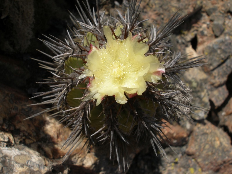 P1018191
