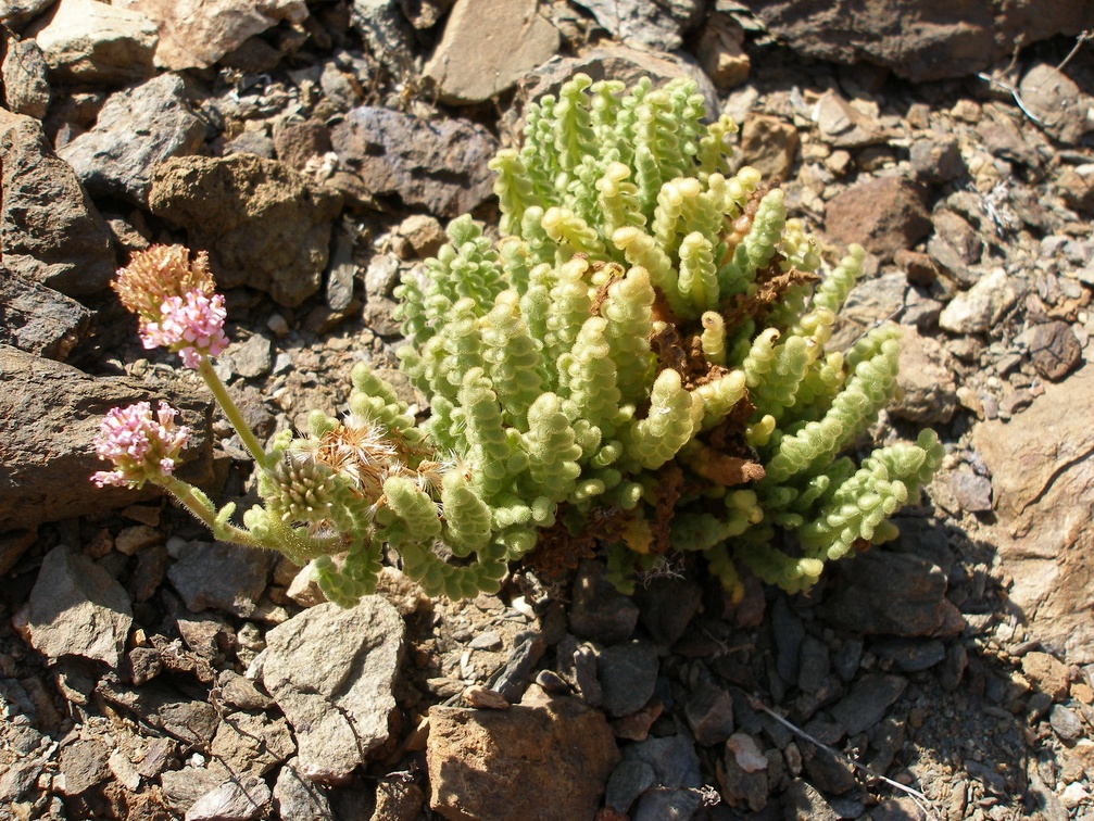 P1018203