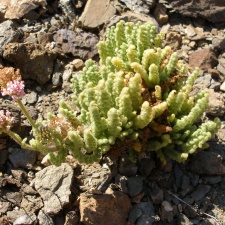 P1018203