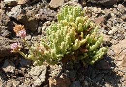 P1018203