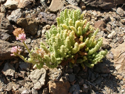 P1018203
