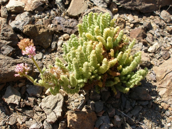P1018203