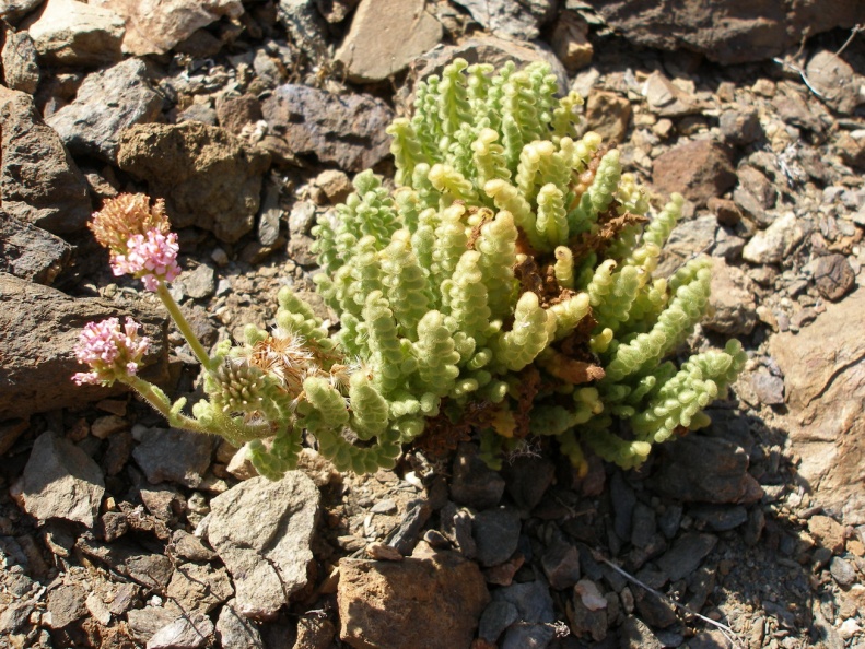 P1018203