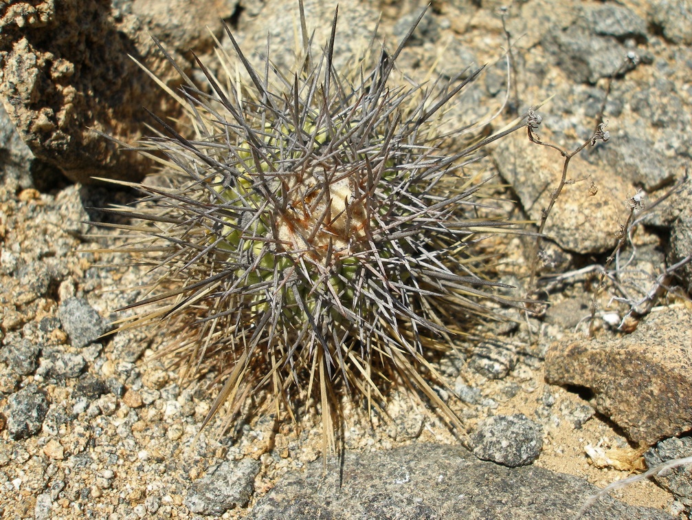 P1018205