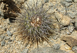 P1018205