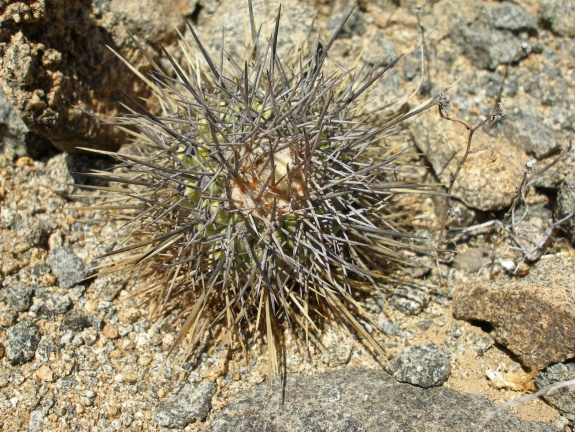 P1018205