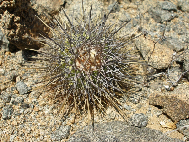 P1018205