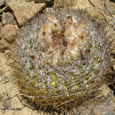 P1018206