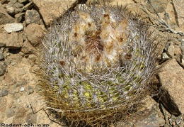 P1018206