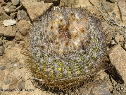 P1018206