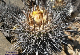 P1018213