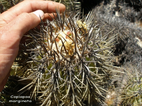 P1018217