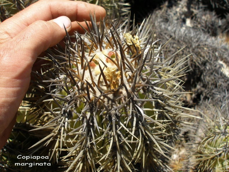 P1018217