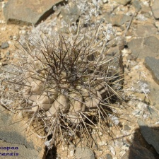 P1018241