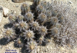 P1018245