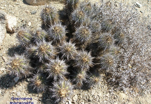 P1018245