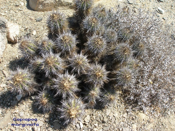 P1018245