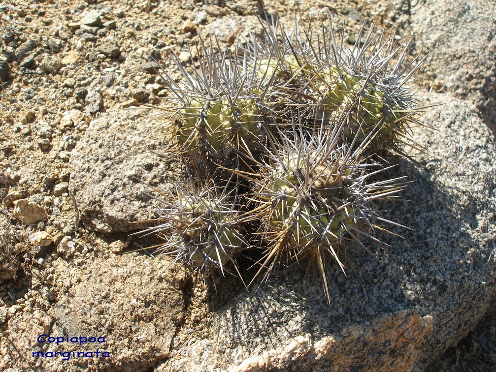 P1018246