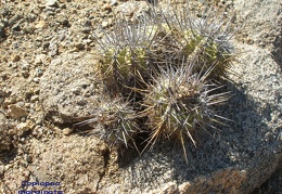 P1018246