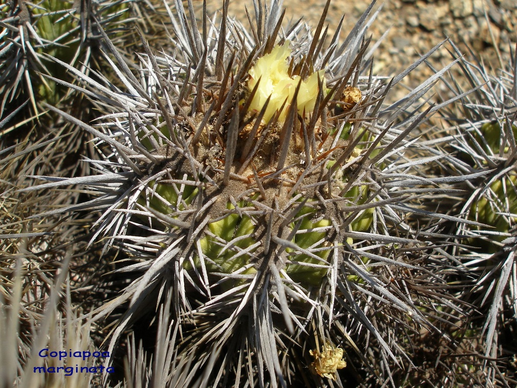 P1018247