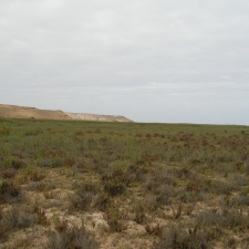 P1018253