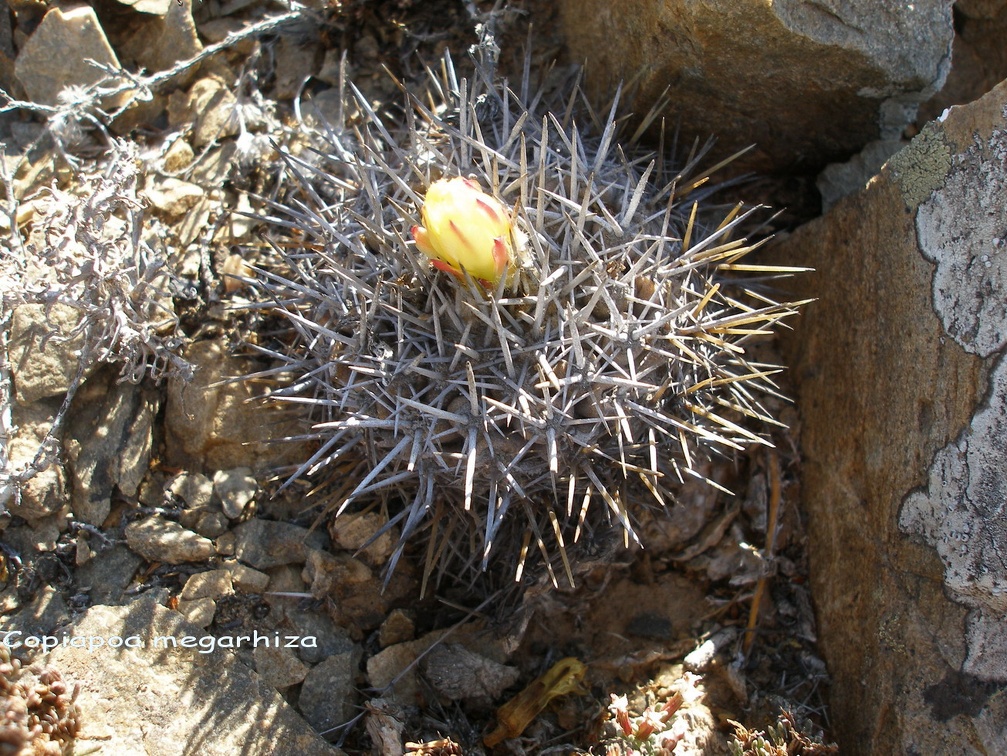 P1018283