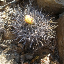 P1018283