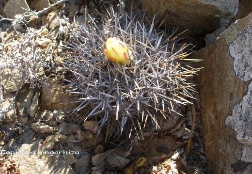 P1018283