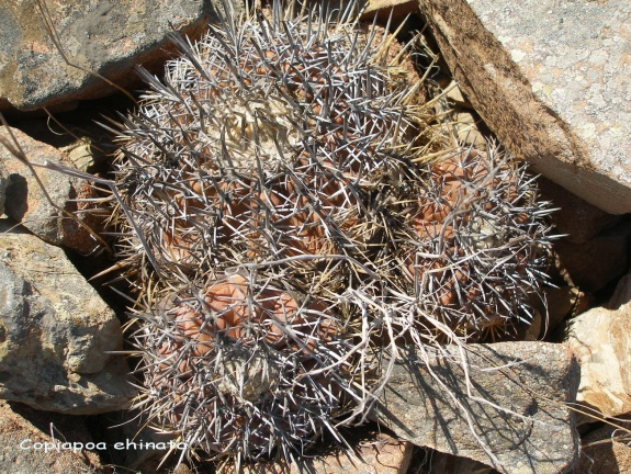 P1018284