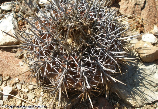 P1018285