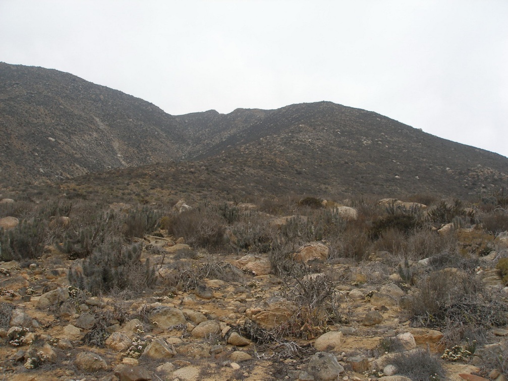 P1018296