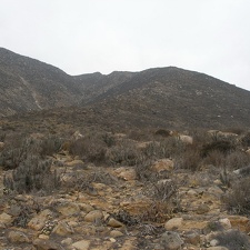 P1018296