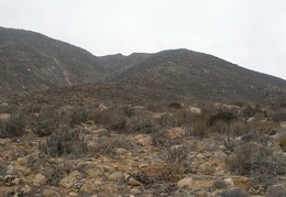 P1018296