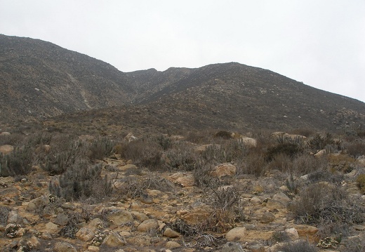 P1018296