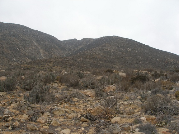 P1018296