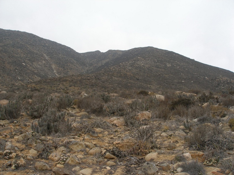 P1018296