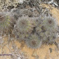 P1018297