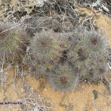 P1018297
