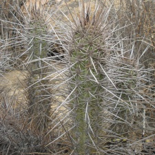 P1018298