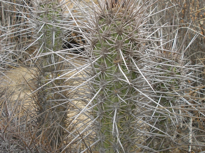 P1018298