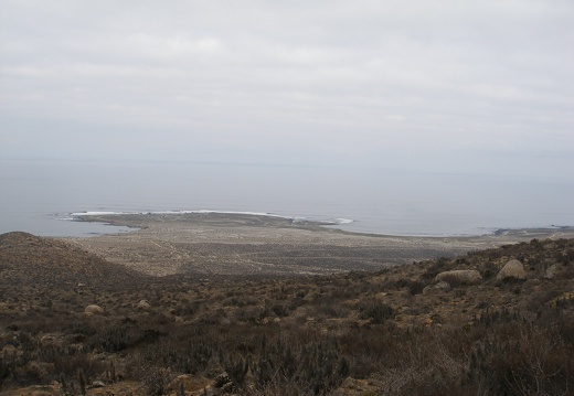 P1018299