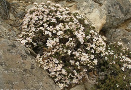 P1018302