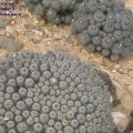 P1018306